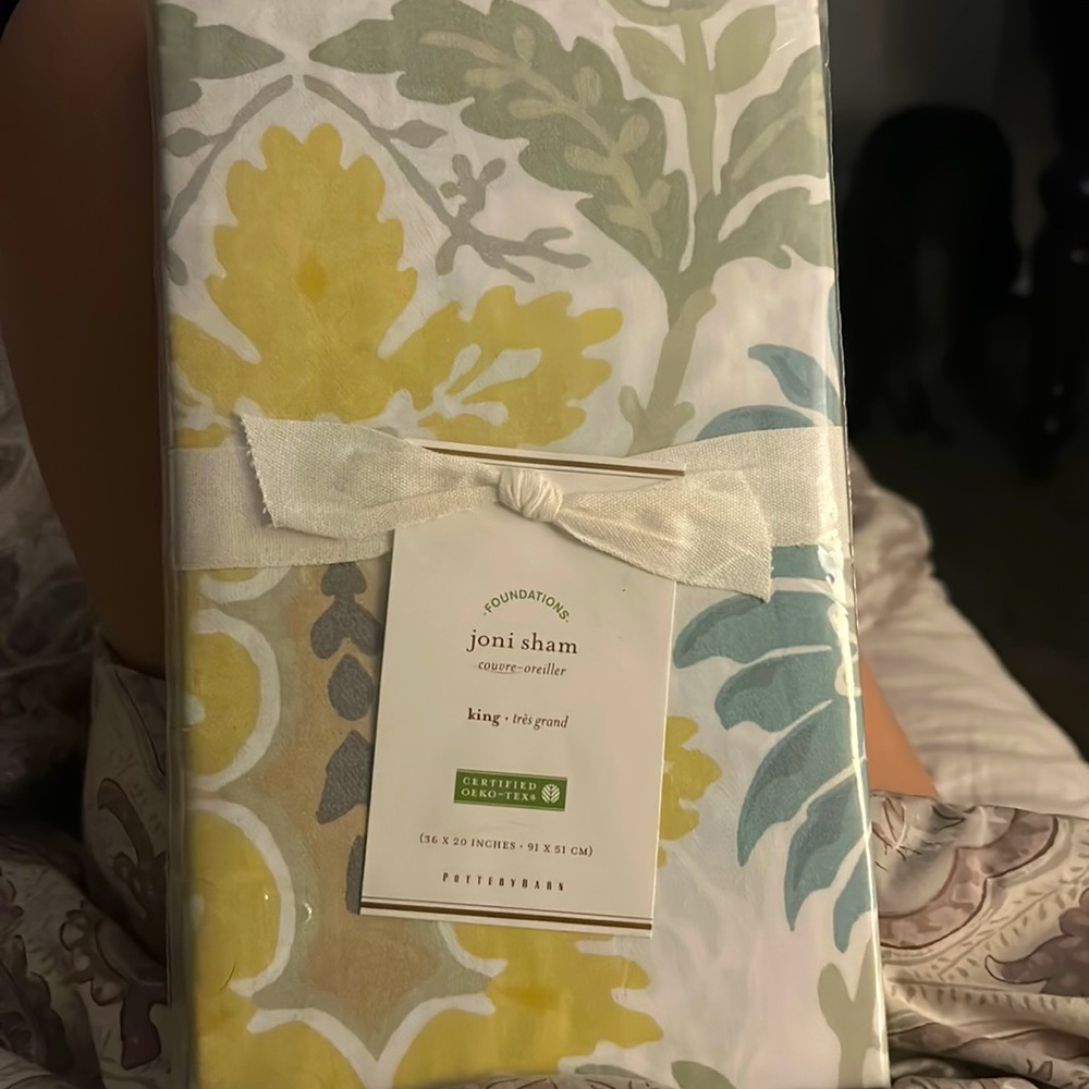 Pottery Barn King Shams. (2)